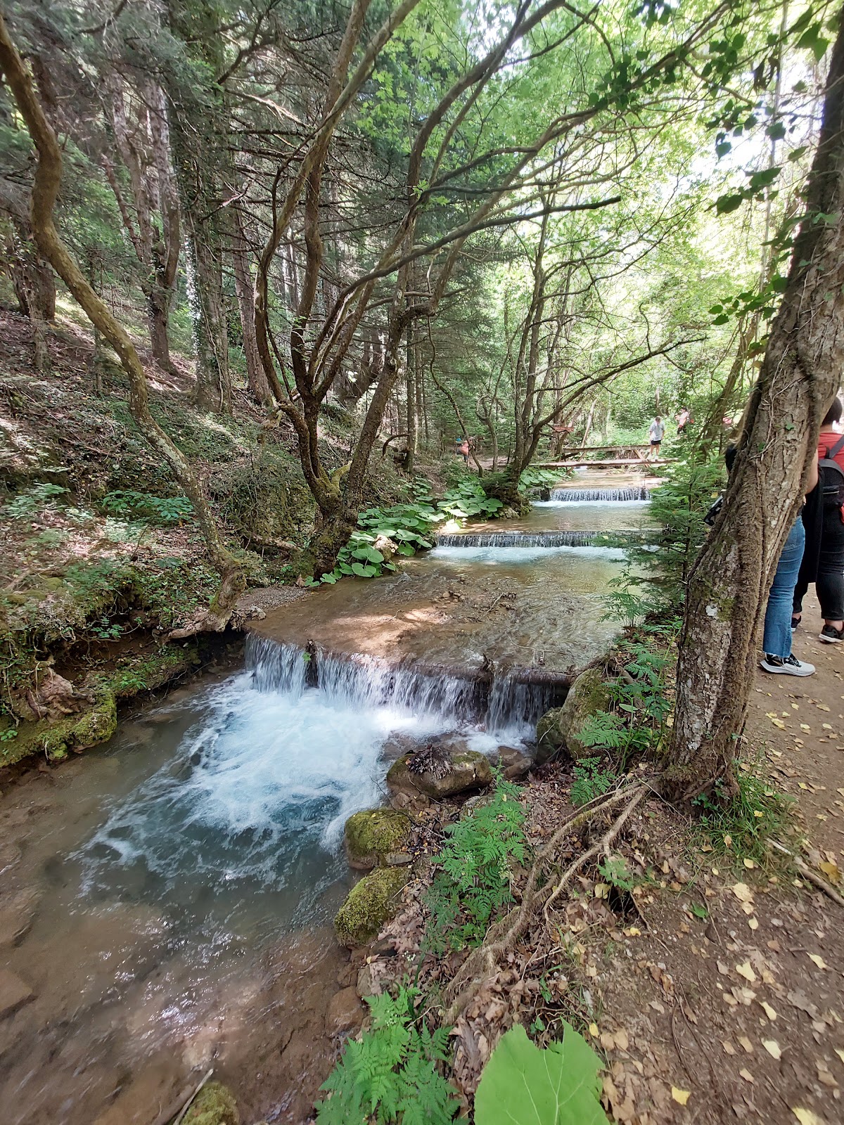 Itinerary Παύλιανη